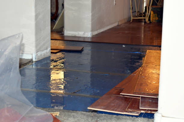 Professional Basement Flood Cleanup technician working in South Haven, IN